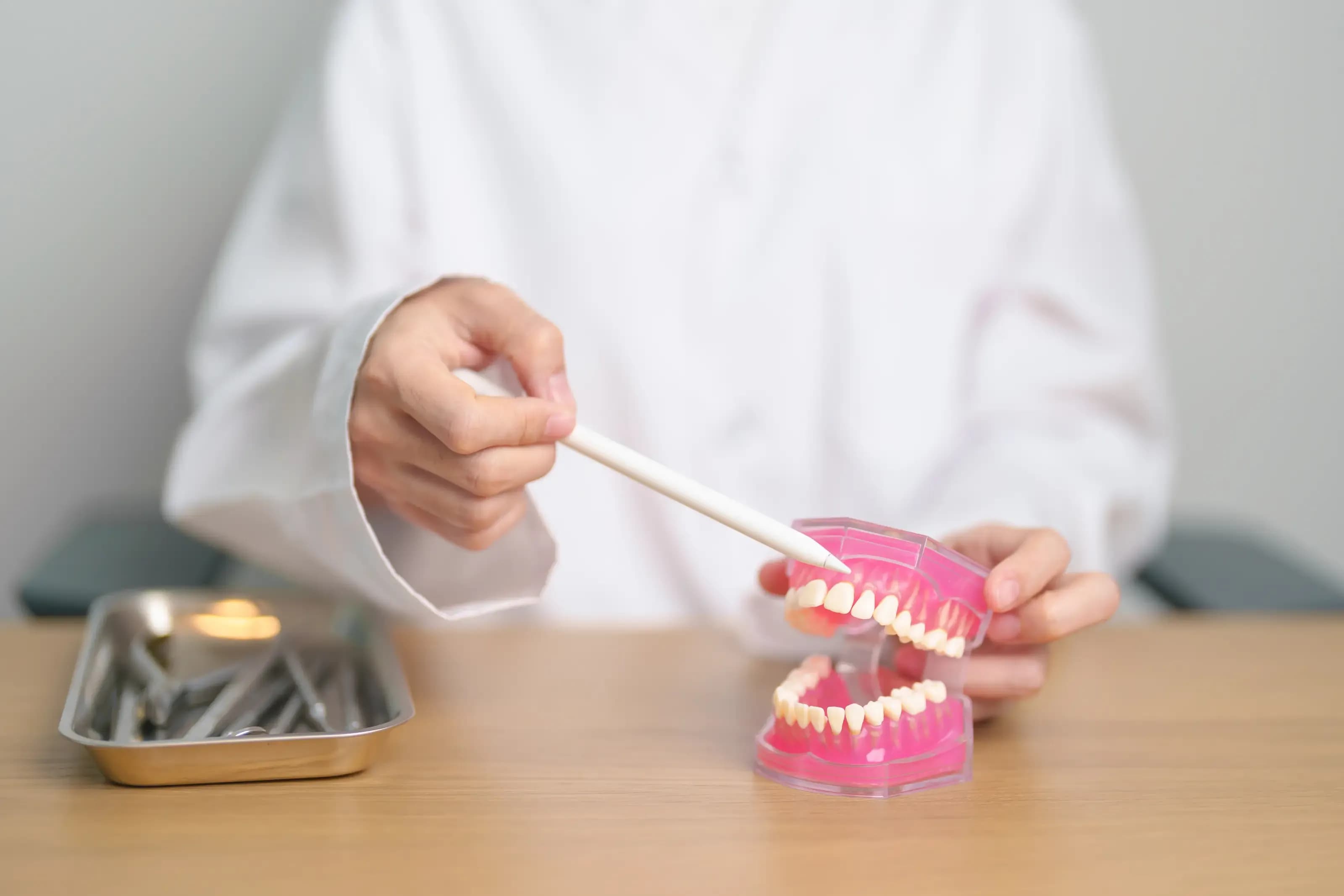 Dentist with tooth Anatomy model. Oral Teeth and disease, Scrape off tartar. March Oral health, Dentist Day, False Teeth. Toothache and Children Dental Health Month and Orthodontic Health Day