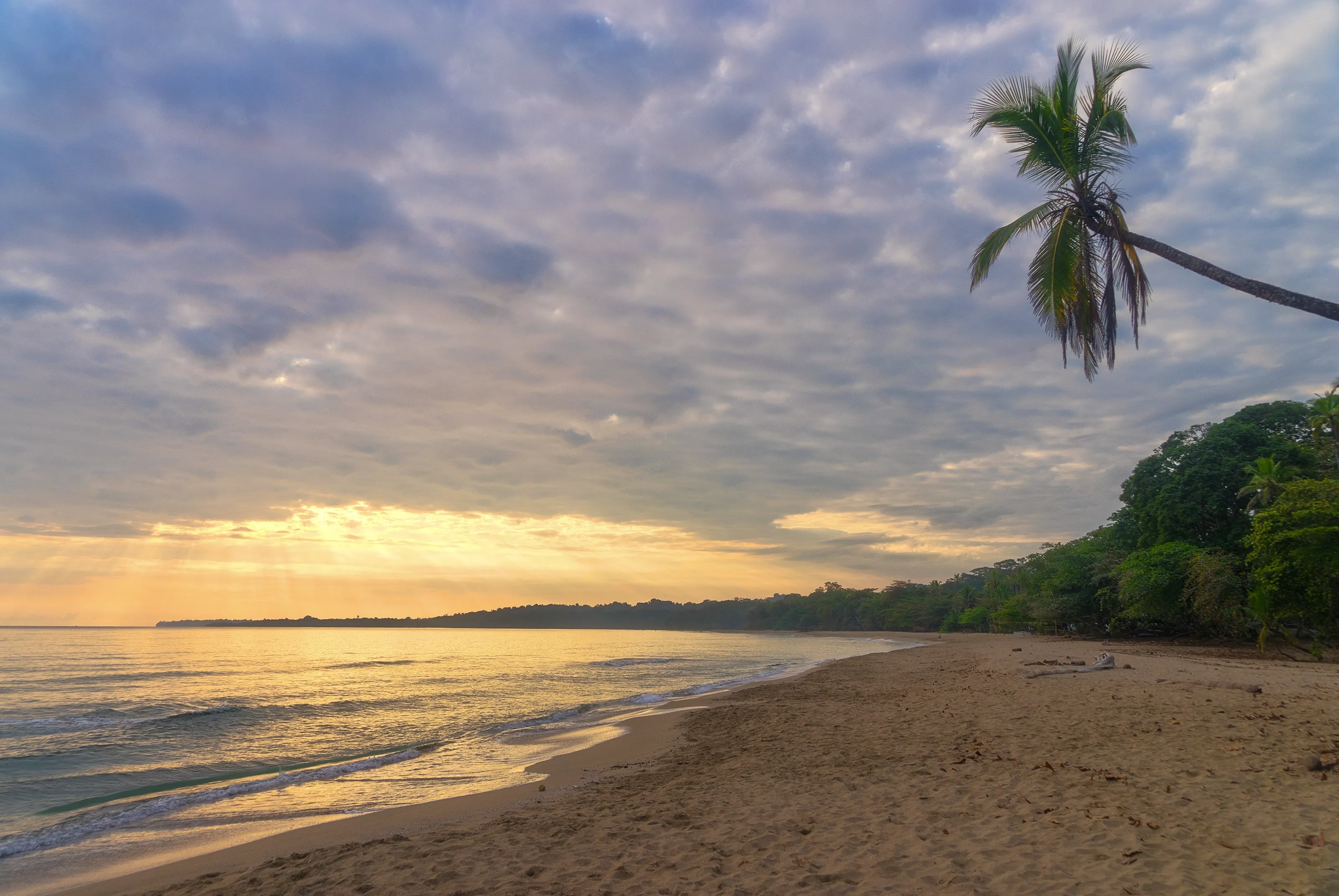 Costa-Rica-Puerto-Viejo-0873-Playa-Cocles.webp