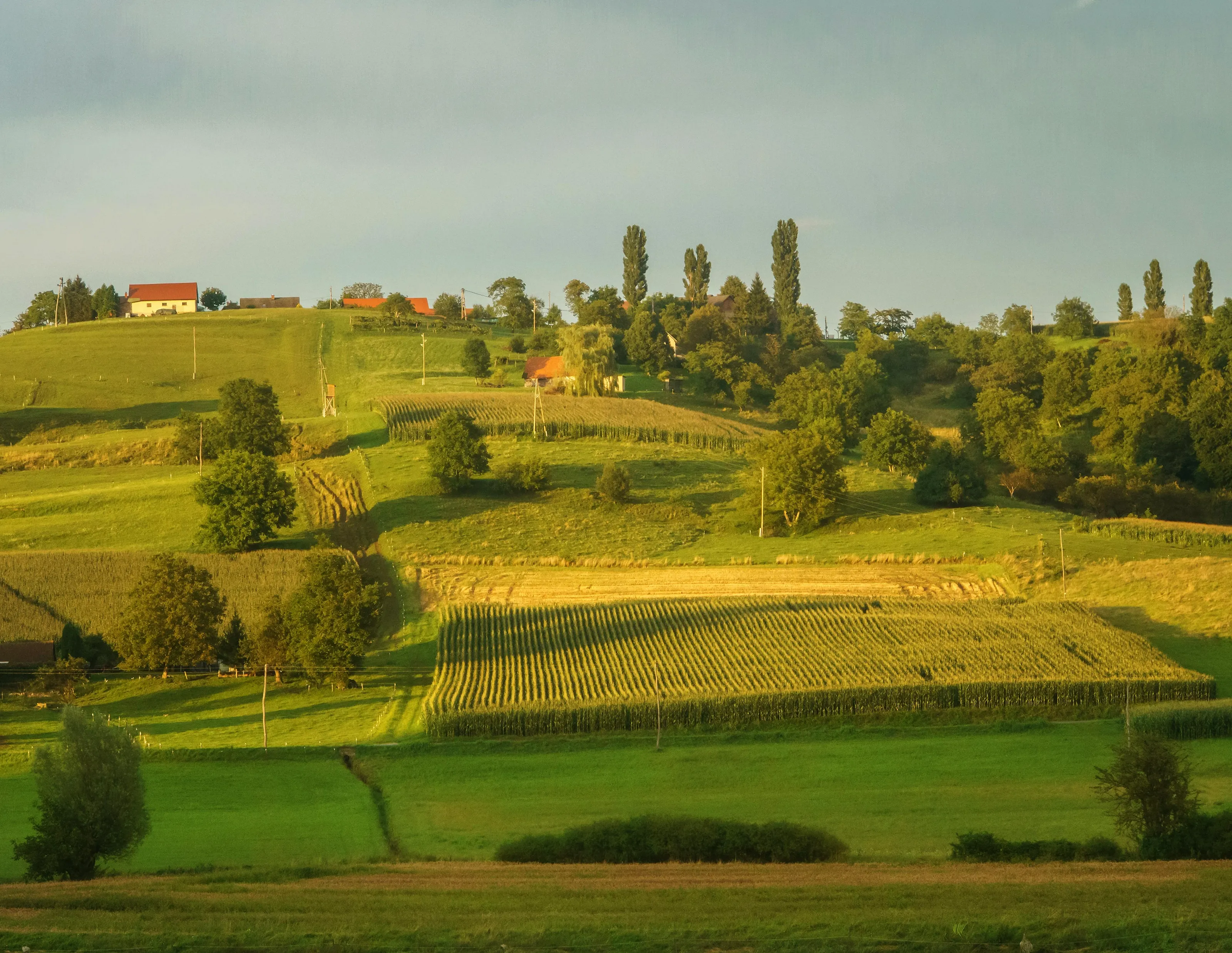 Maribor.webp