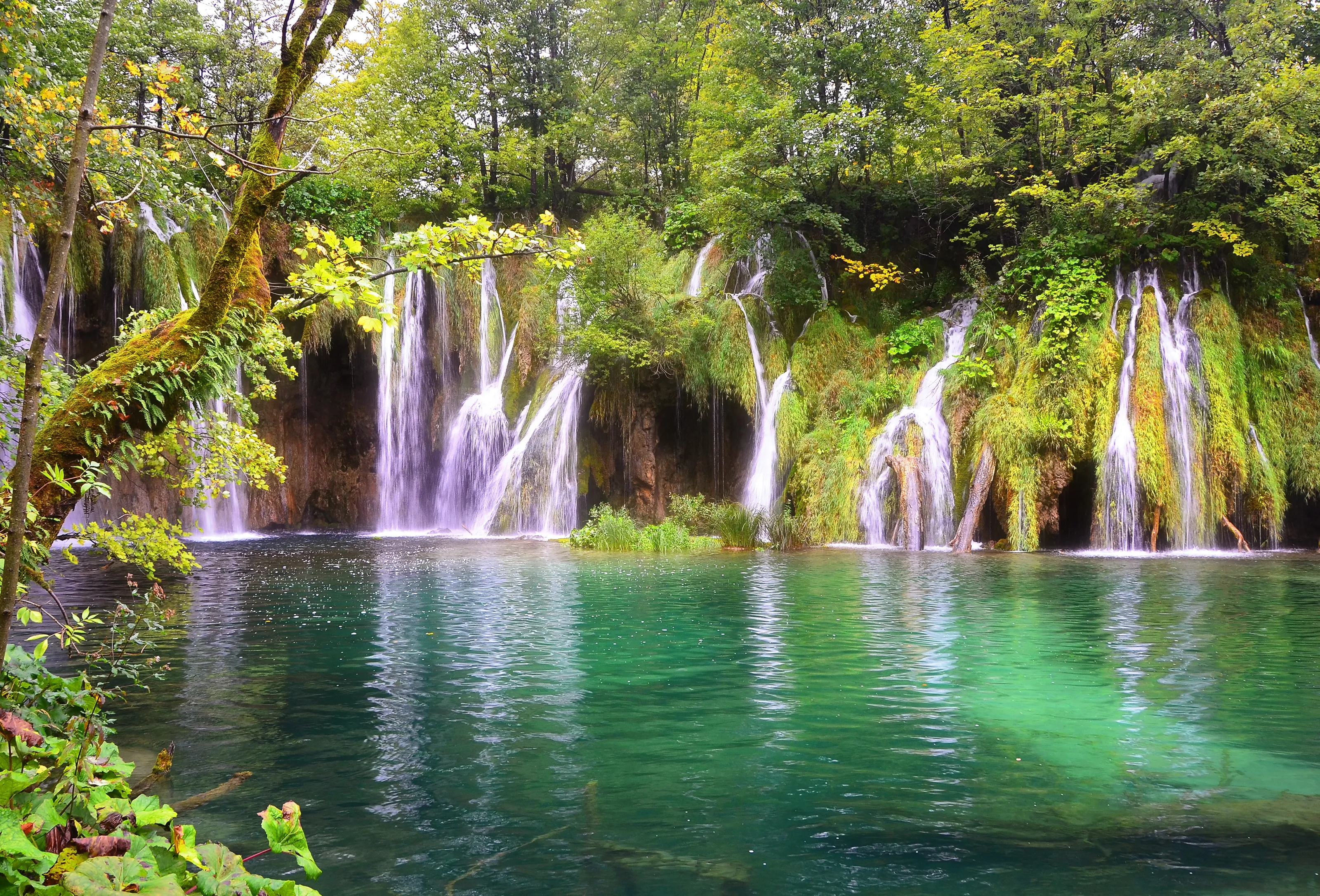 PlitviceNationalParkWaterfall.webp